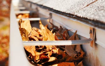 Reydon gutter cleaning companies
