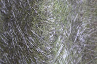 Reydon fibreglass roof work
